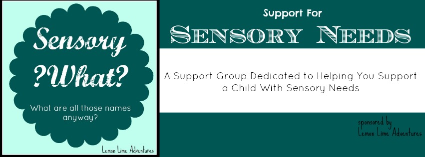 Sensory Needs Group