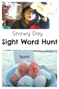 Snowy Day Sight Word Hunt
