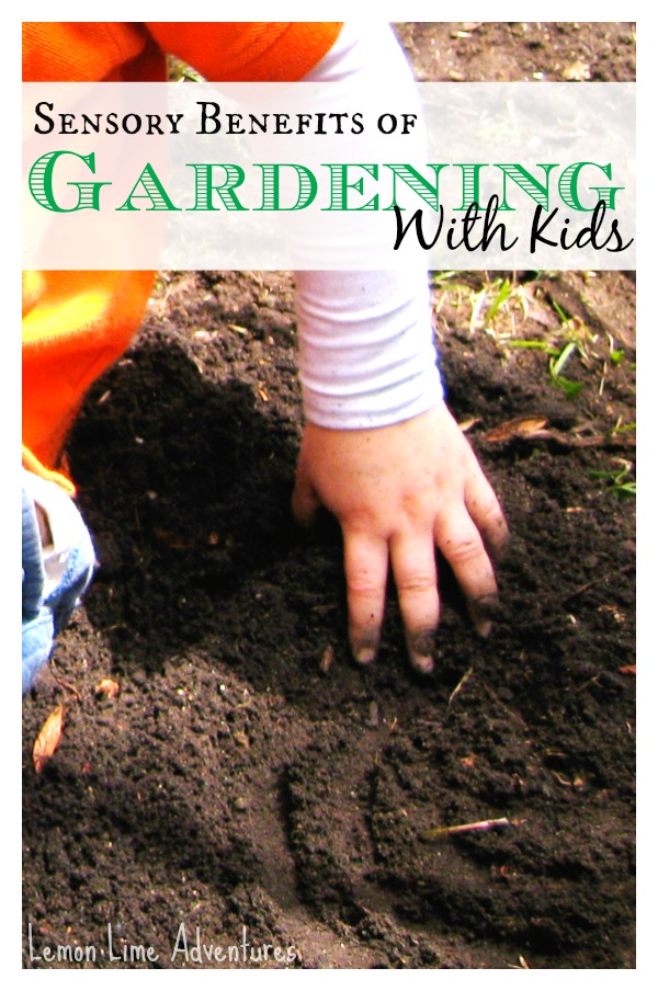 Sensory Benefits of Gardening with kids