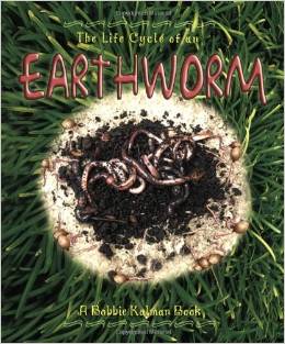 worm book for kids