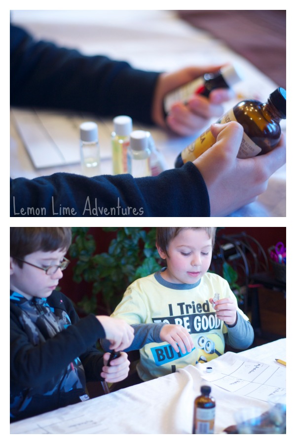Matching scents experiment for kids