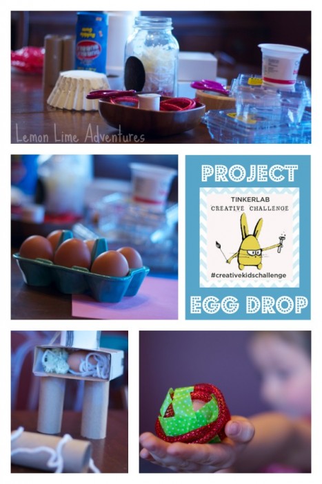 Project-Egg-Drop