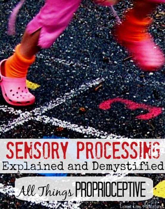 Proprioceptive Input: Sensory Processing Explained