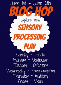 Sensory Play Hop