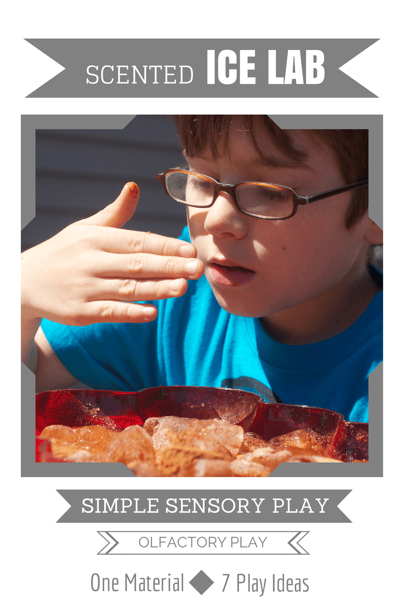 Sensory Processing Explained | Olfactory System