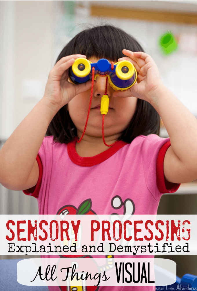 Sensory Processing Explained Visual Input