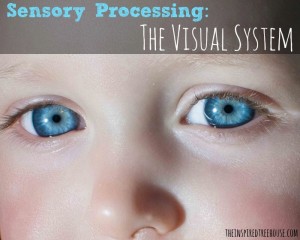 Sensory Processing Visual System