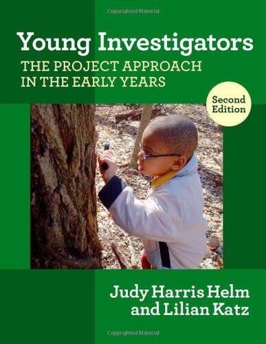 Project Approach: Young Investigators