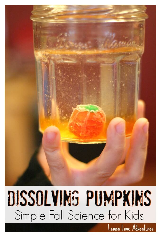Dissolving Pumpkin Candy Experiments