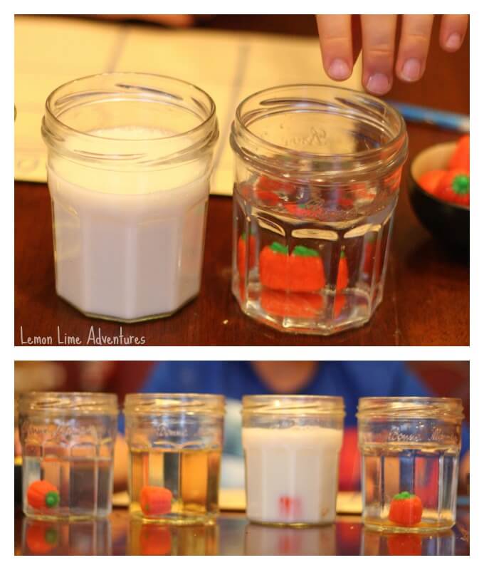 Halloween Science Experiment for Kids
