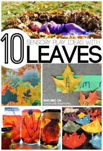 Fall Sensory Play with Leaves