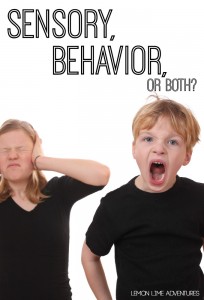Is It Sensory Behavior or Both