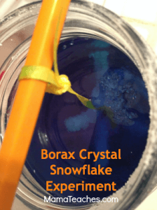 Borax Crystal Snowflake Experiment