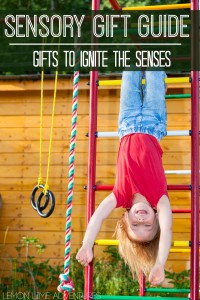 Sensory Processing Gift Guide