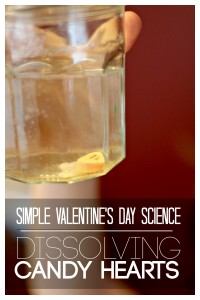 Dissolving Candy Hearts Simple Valentines Day Science
