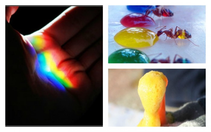 Rainbow Featured image