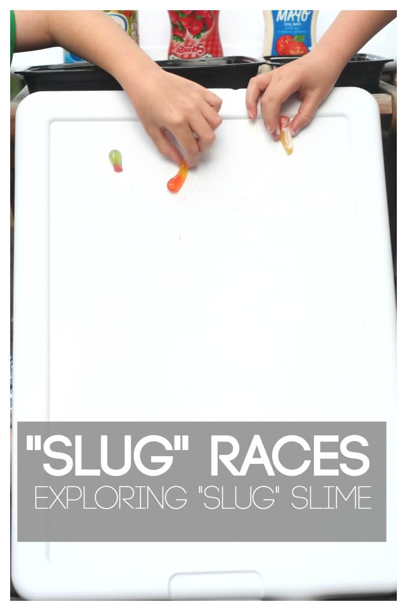Slug Races to Explore Slug Slime and How they Move