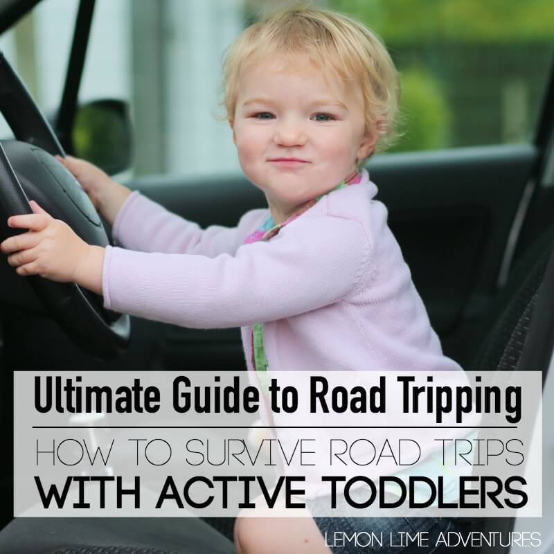 Survive Road Trips with Active Toddlers