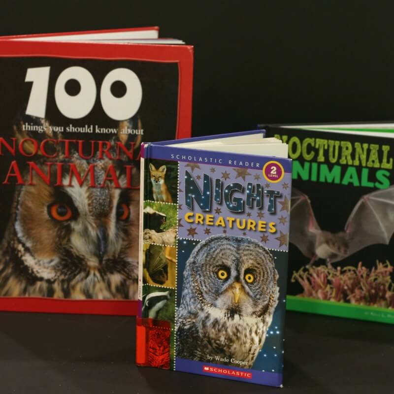 Nocturnal Animals Books