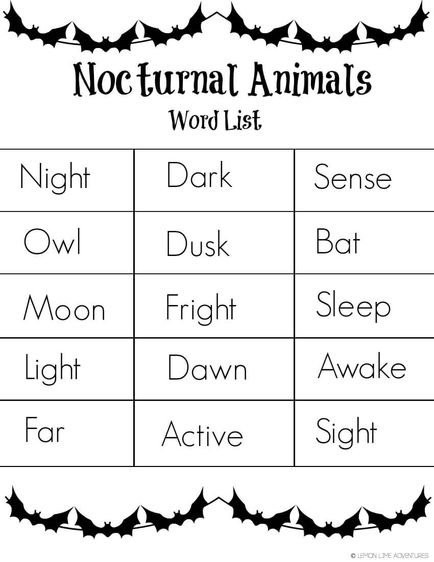 Nocturnal Animals Word List Free Printable