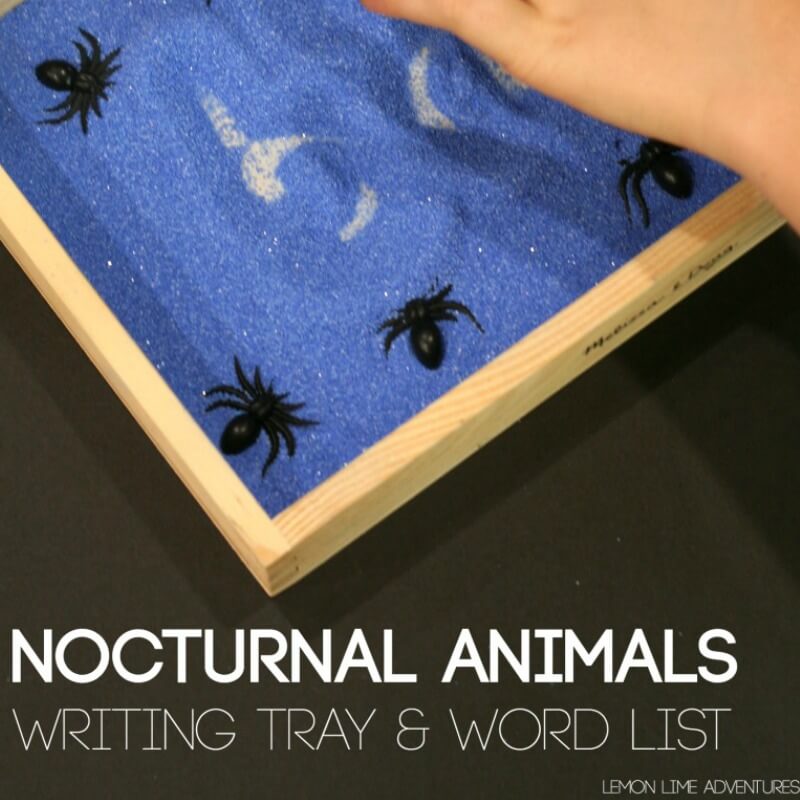 Nocturnal Animals Word Tray