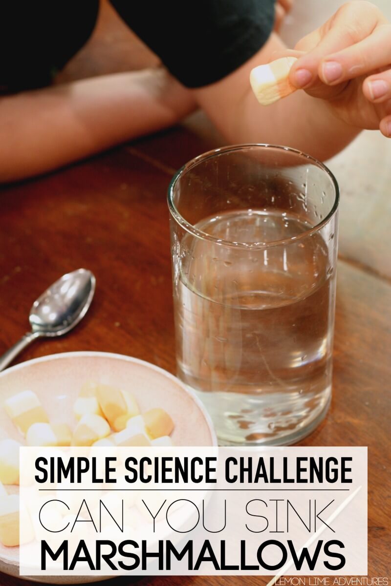 Simple Science Challenge Sinking Marshmallows