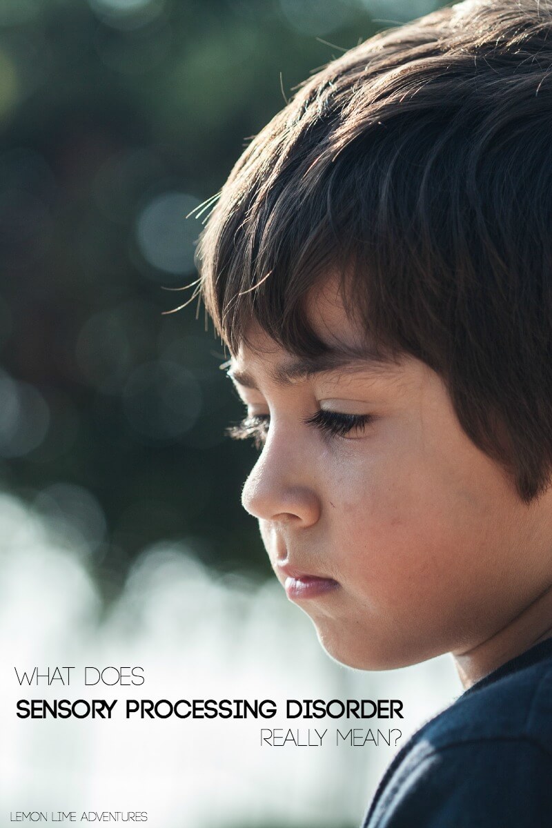  What Does Sensory Processing Disorder Really Mean for loved ones