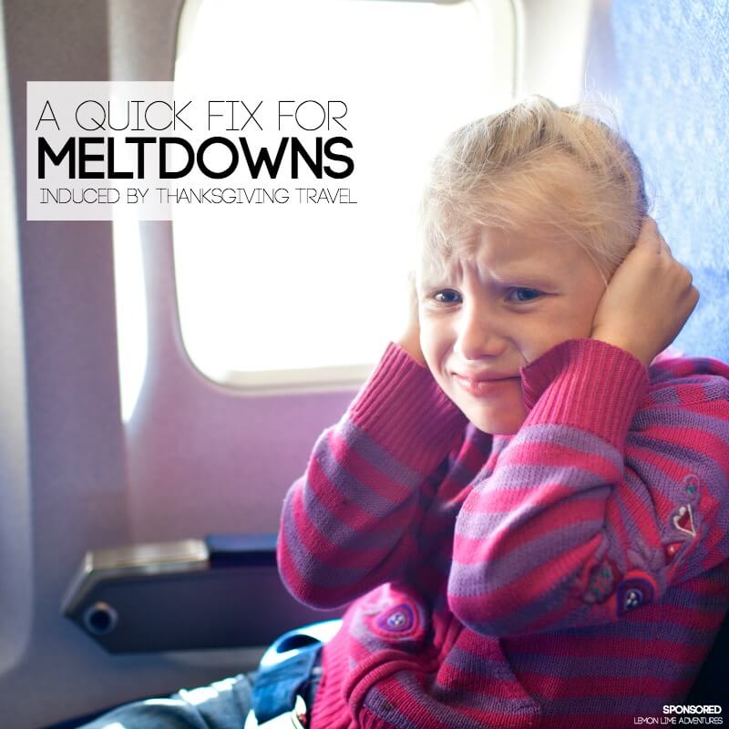 A Quick Fix for Meltdowns induced by Thanksgiving Travel