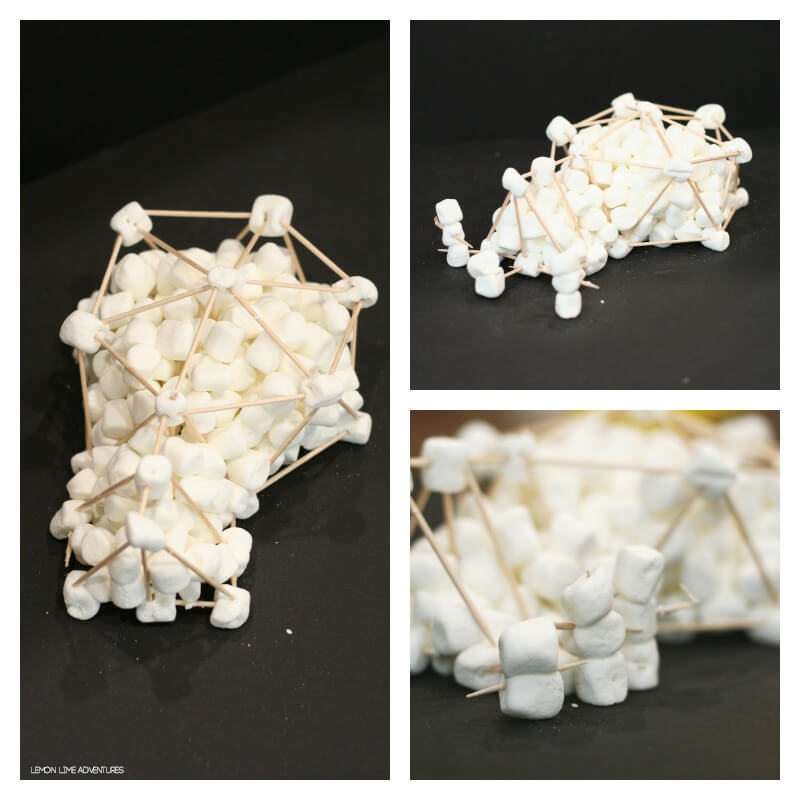 Building with Marshmallows