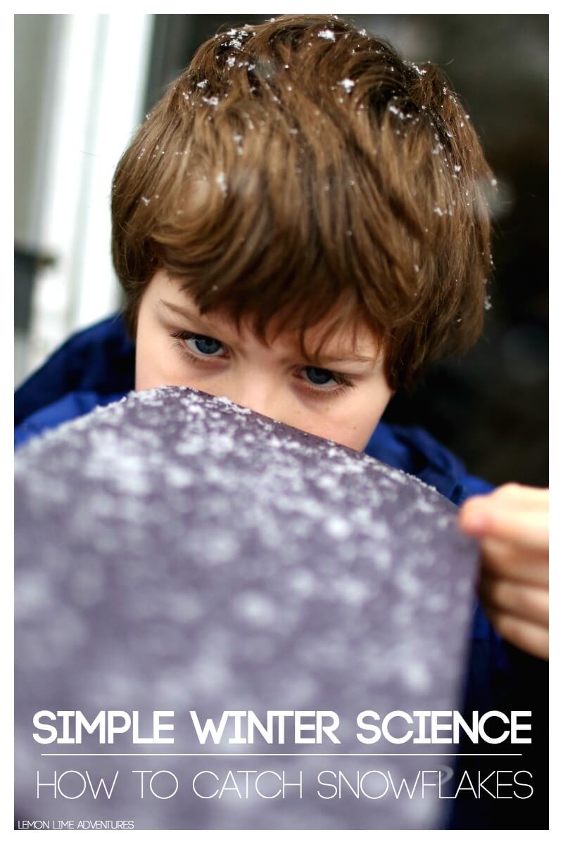 How to Catch Snowflakes in the Winter with Kids