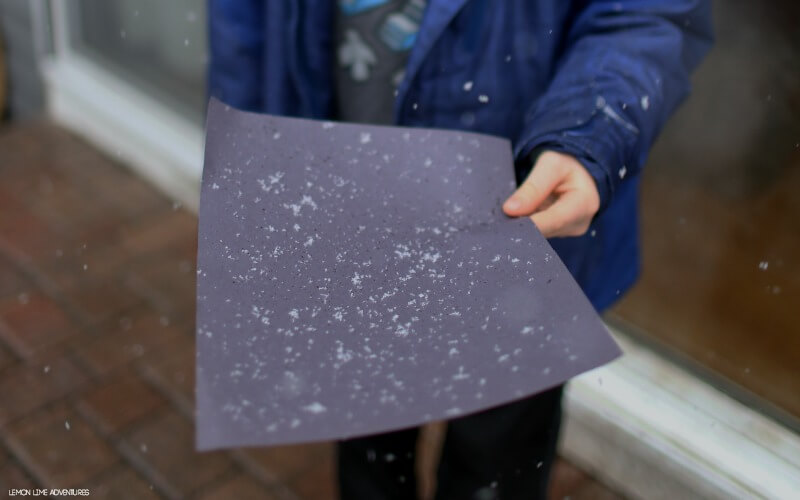 How to Catch Snowflakes without them melting