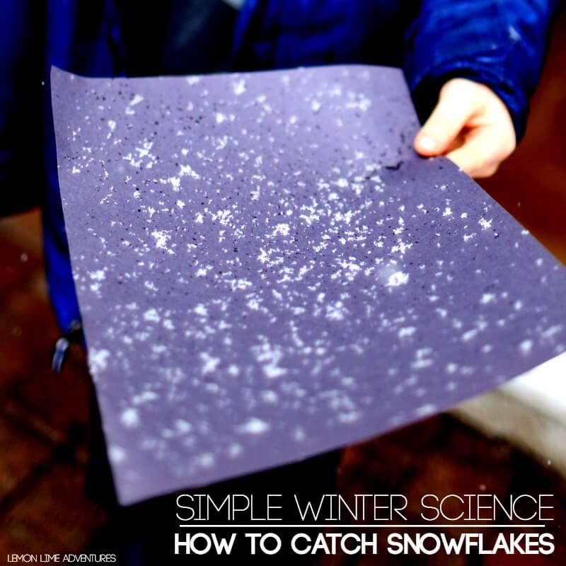 Simple Winter Science How to Catch Snowflakes