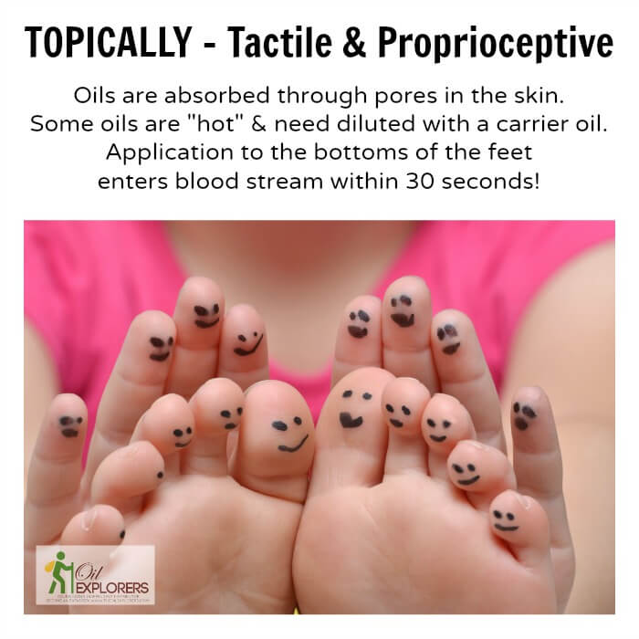 Topical_-_Tactile_and_Proprioceptive