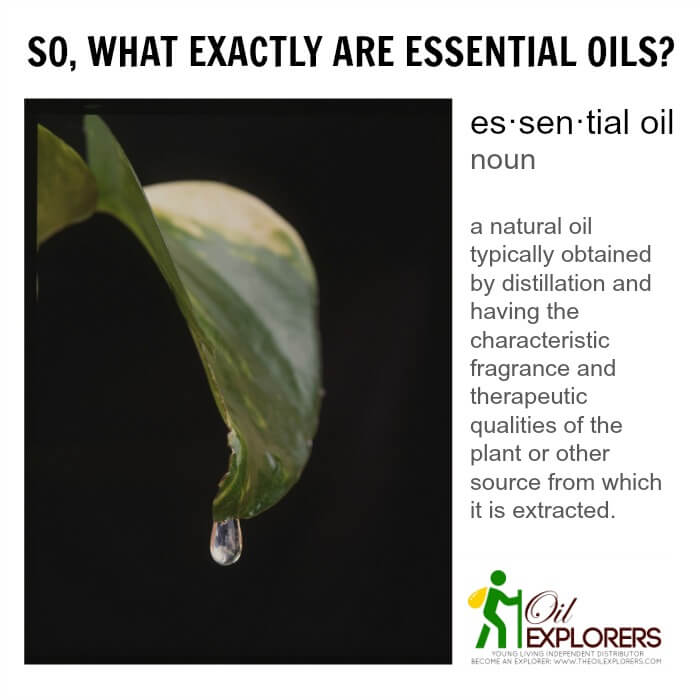 What_are_Essential_Oils (1)