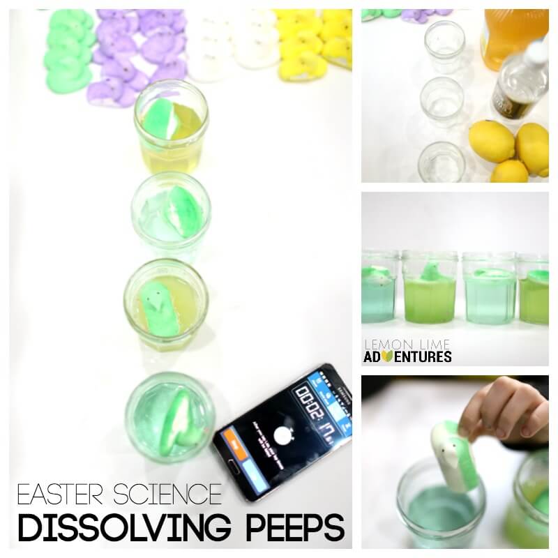 Easter Science Dissolving Peeps for a whole week