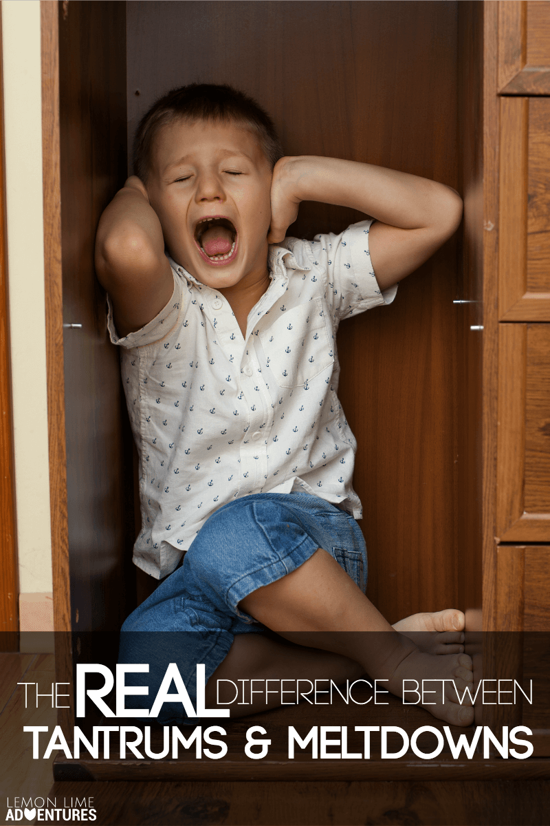The Real Difference Between Tantrums and Meltdowns