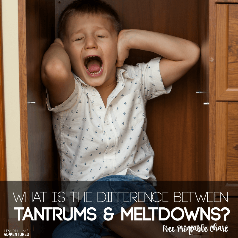 What is the Difference between Tantrums and Meltdowns