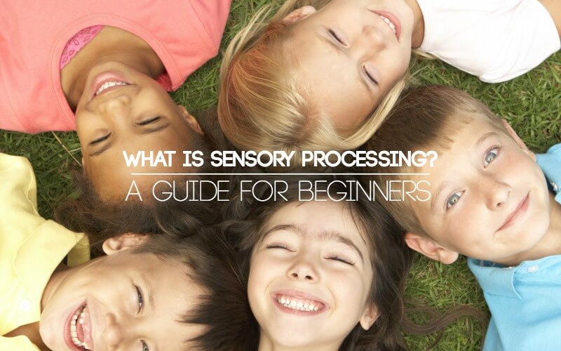 sensory processing guide