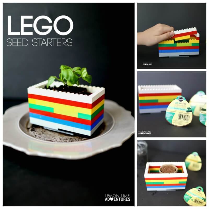 Lego Seed Starters Sets