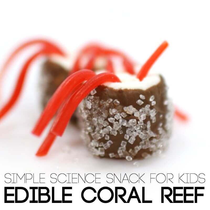 Live Edible Coral Reef