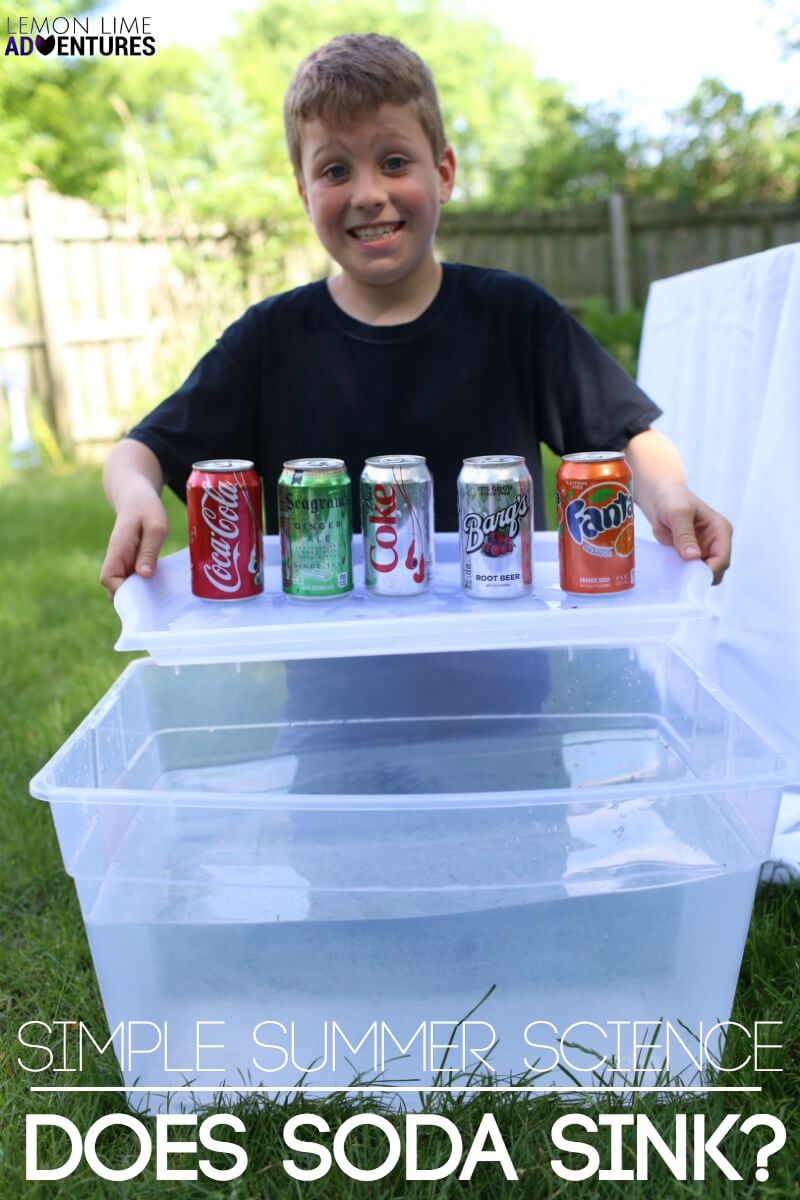 Simple Summer Science Does Soda Sink Experiment