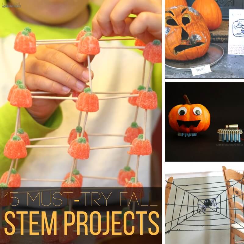 15 Must Try Fall STEM Projects for Kids