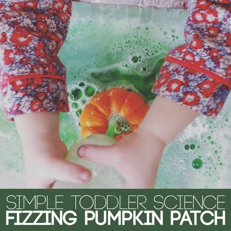 simple-toddler-science-pumpkin-patch