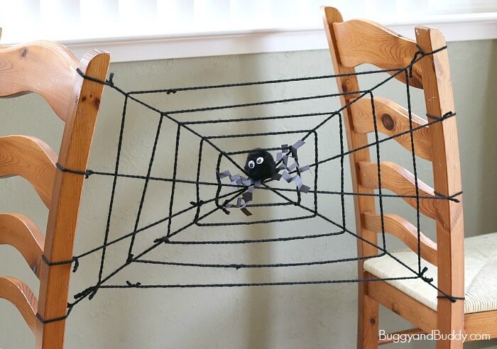 Spider web Vibrations