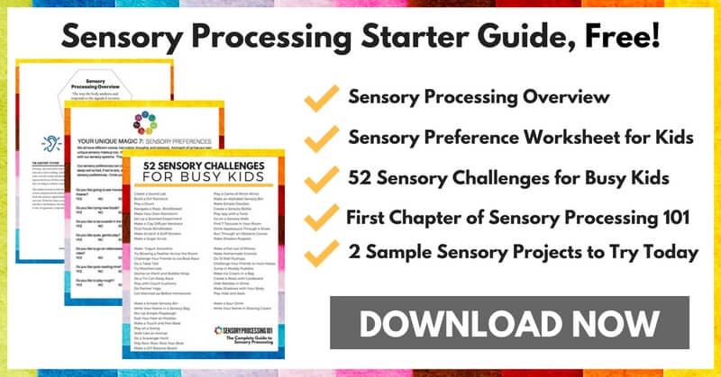 copy-of-sensory-processing-overview