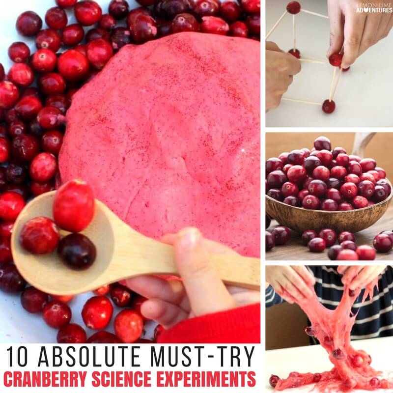10 Absolute Must-Try Cranberry Experiments for Kids