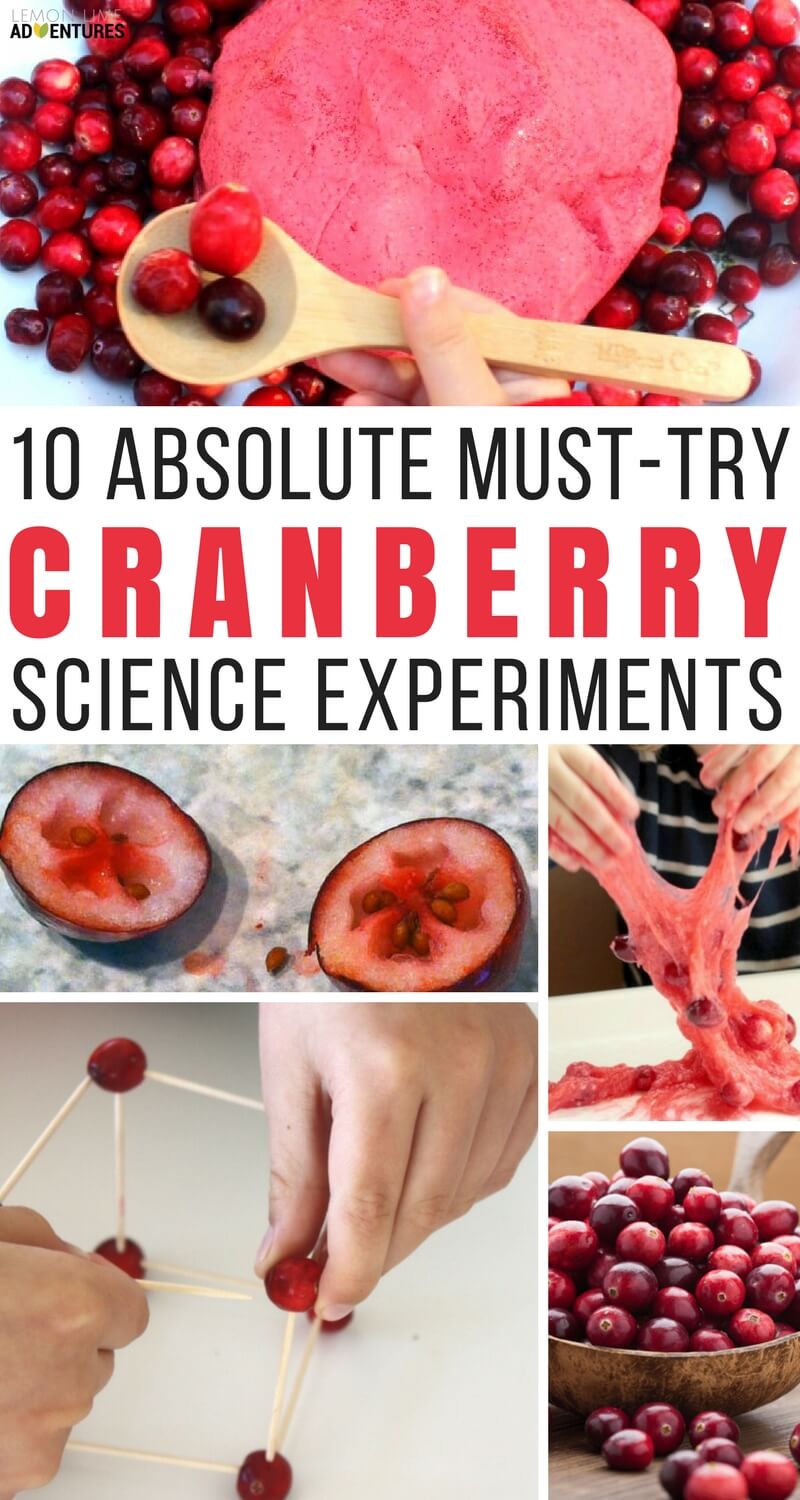 10 Absolute Must-Try Cranberry Science Experiments