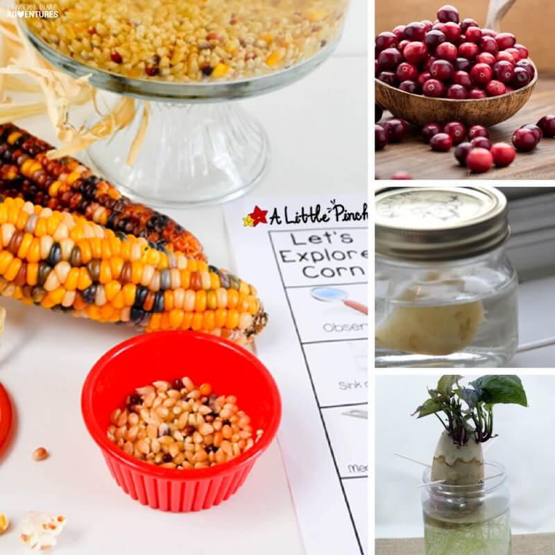 25 Must-Try Thanksgiving Feast Experiments