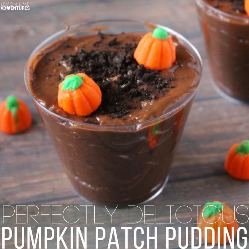 Perfectly Delicious Pumpkin Patch Pudding!