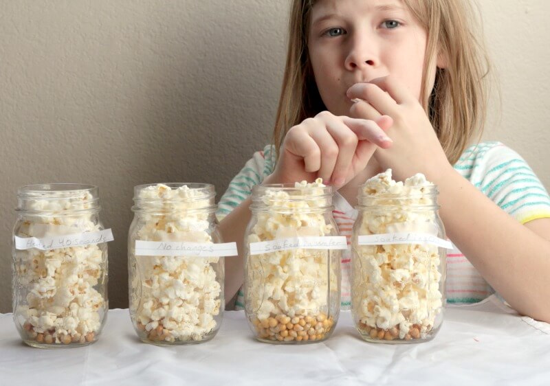 Popcorn Science STEM Investigation: Tasty Science Fun!